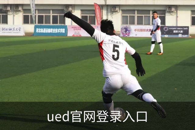ued官网登录入口公司简介